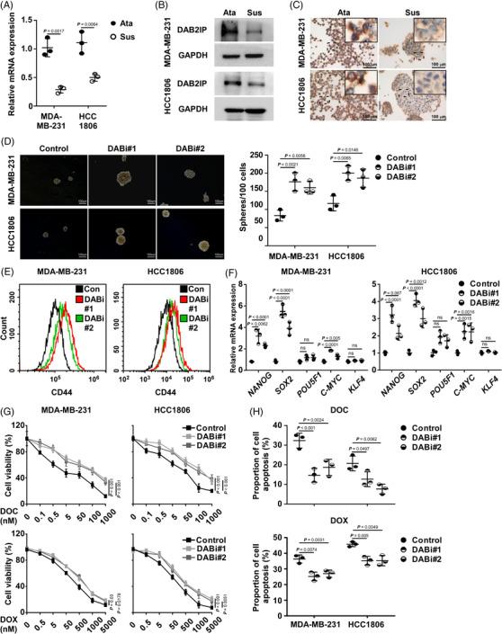 https://cdn.ncbi.nlm.nih.gov/pmc/blobs/79f2/9763535/75468cb85f55/CTM2-12-e1133-g007.jpg