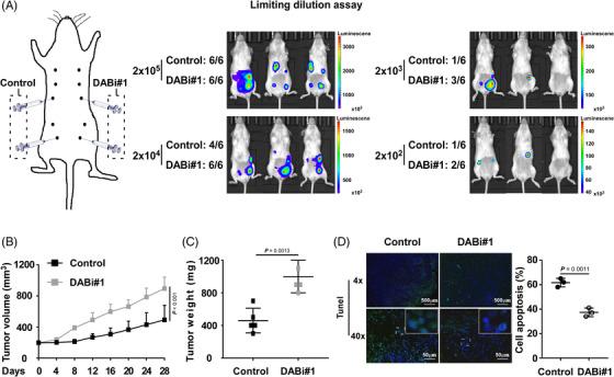 https://cdn.ncbi.nlm.nih.gov/pmc/blobs/79f2/9763535/cb28f34854fa/CTM2-12-e1133-g005.jpg