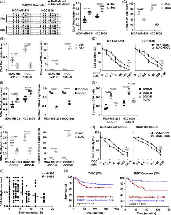 https://cdn.ncbi.nlm.nih.gov/pmc/blobs/79f2/9763535/ddf74f26b6ca/CTM2-12-e1133-g006.jpg