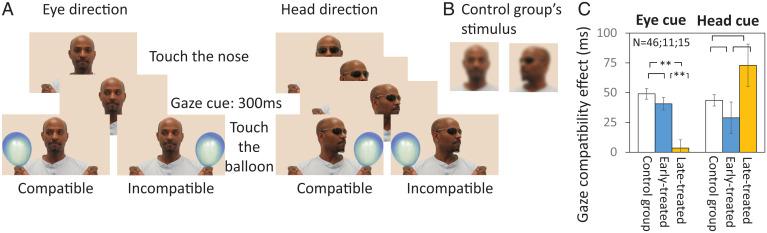 https://cdn.ncbi.nlm.nih.gov/pmc/blobs/79f4/9171757/1bebc15b7201/pnas.2117184119fig03.jpg
