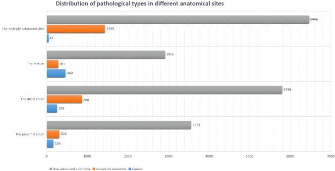 https://cdn.ncbi.nlm.nih.gov/pmc/blobs/79f4/9889414/39ac107ea084/384_2022_4296_Fig1_HTML.jpg