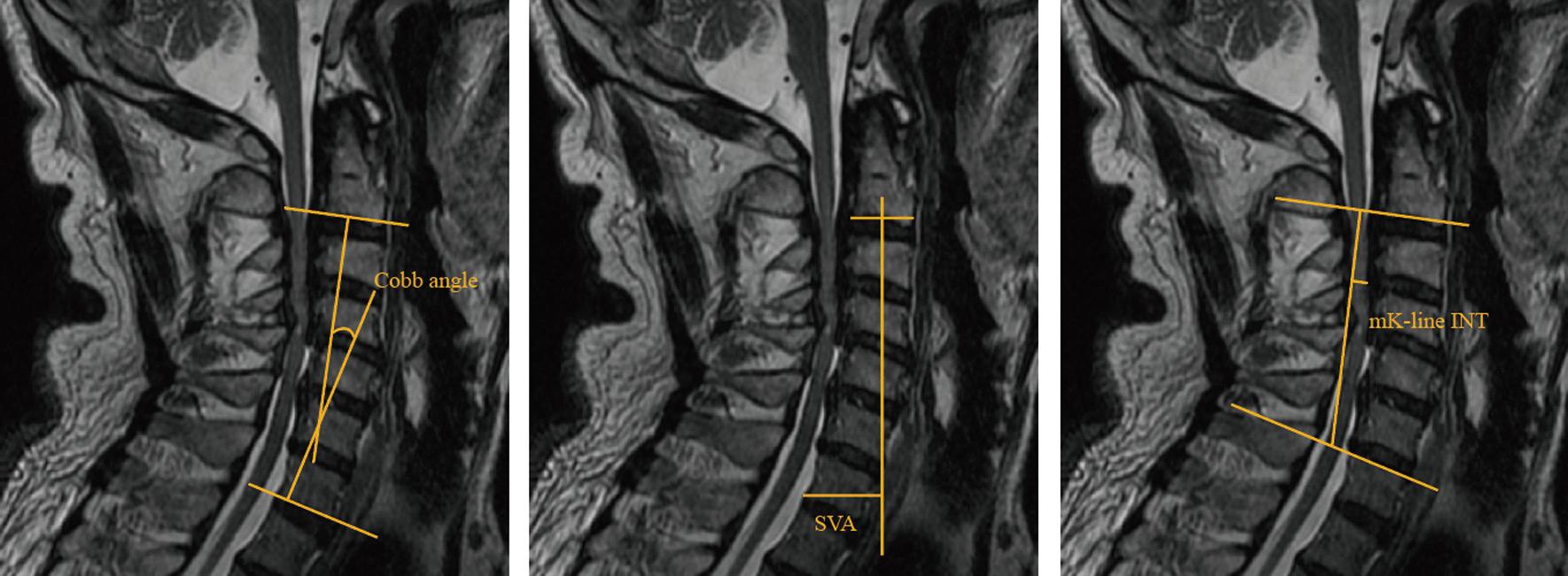 https://cdn.ncbi.nlm.nih.gov/pmc/blobs/79f5/10675957/0272460cca59/13018_2023_4388_Fig3_HTML.jpg