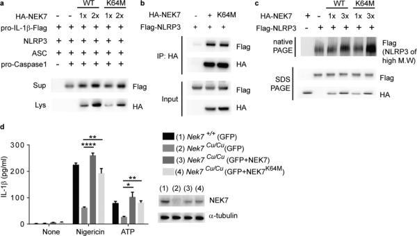 https://cdn.ncbi.nlm.nih.gov/pmc/blobs/79fa/4862588/0602672099b5/nihms-734192-f0006.jpg