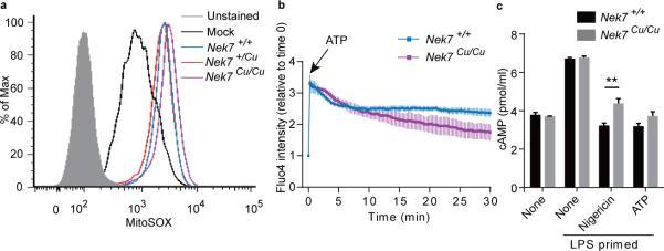 https://cdn.ncbi.nlm.nih.gov/pmc/blobs/79fa/4862588/1f28056d5f91/nihms-734192-f0003.jpg
