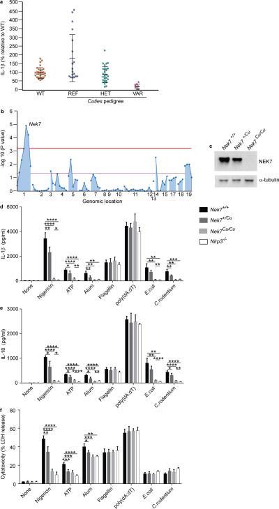https://cdn.ncbi.nlm.nih.gov/pmc/blobs/79fa/4862588/8a4915cc1590/nihms-734192-f0001.jpg