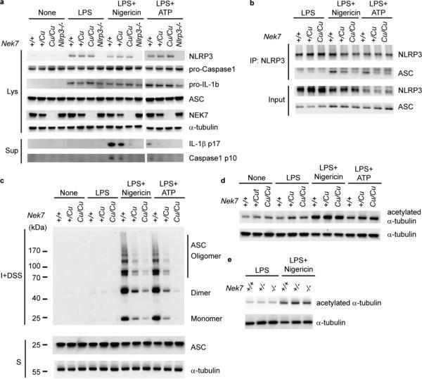 https://cdn.ncbi.nlm.nih.gov/pmc/blobs/79fa/4862588/b8356bf47261/nihms-734192-f0004.jpg