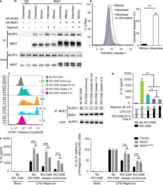 https://cdn.ncbi.nlm.nih.gov/pmc/blobs/79fa/4862588/c74e8587f56c/nihms-734192-f0007.jpg