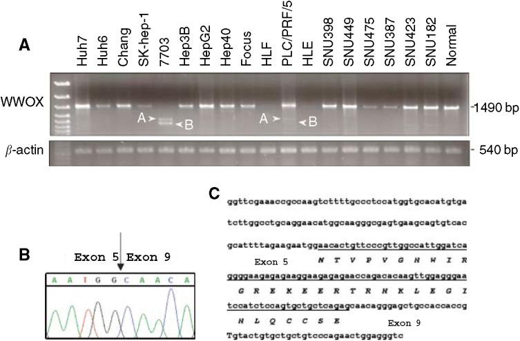 https://cdn.ncbi.nlm.nih.gov/pmc/blobs/79fb/2364795/b7c618a64159/91-6602023f3.jpg