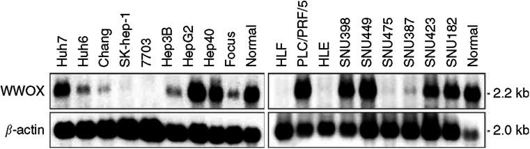 https://cdn.ncbi.nlm.nih.gov/pmc/blobs/79fb/2364795/ea9a05a8b016/91-6602023f2.jpg