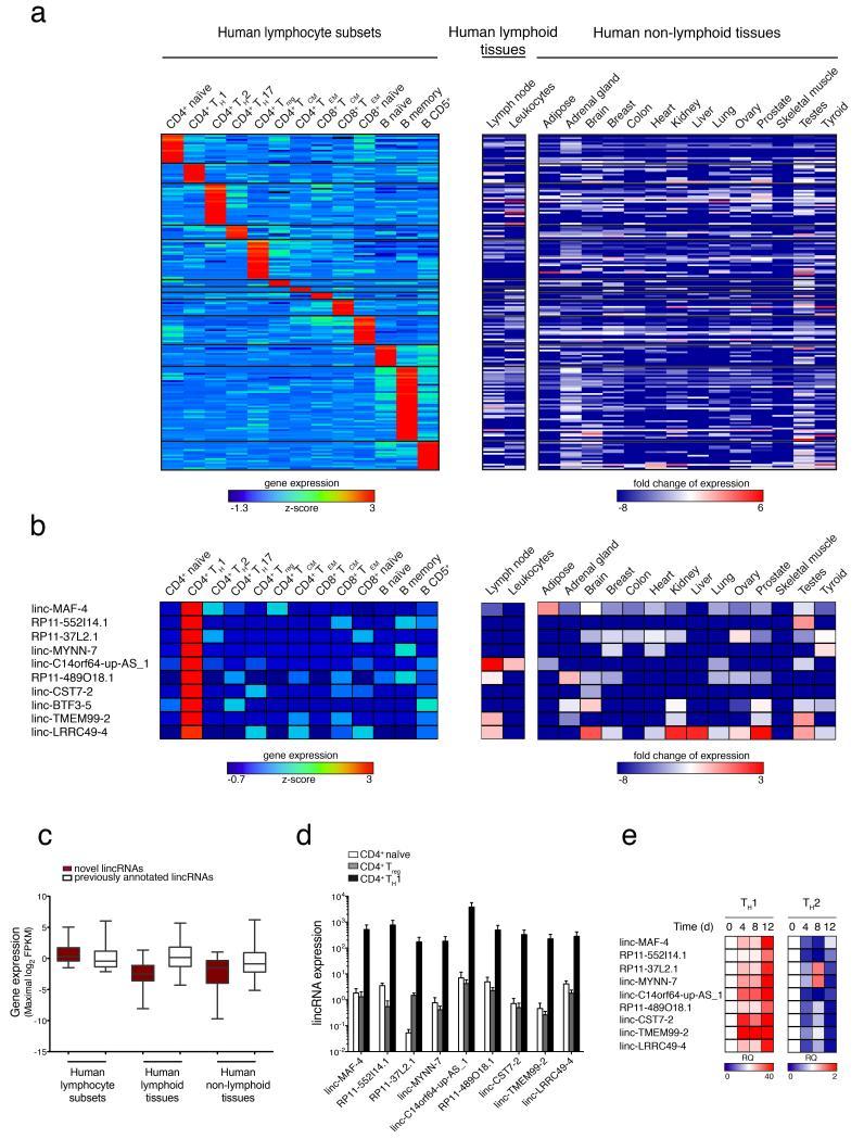 https://cdn.ncbi.nlm.nih.gov/pmc/blobs/79fb/4333215/fd3a8e0a0710/emss-61570-f0003.jpg