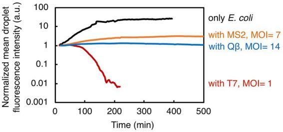 https://cdn.ncbi.nlm.nih.gov/pmc/blobs/79fc/10703435/d556e08fda83/fmicb-14-1260196-g004.jpg
