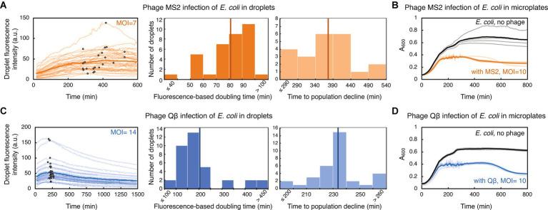 https://cdn.ncbi.nlm.nih.gov/pmc/blobs/79fc/10703435/ed1201000829/fmicb-14-1260196-g003.jpg
