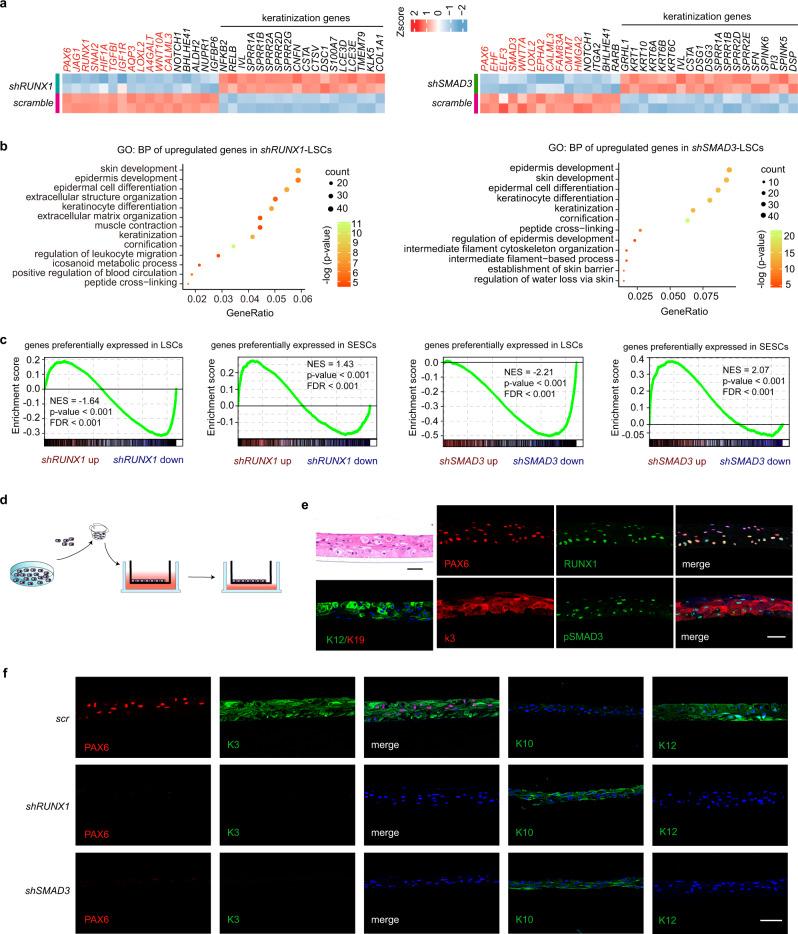 https://cdn.ncbi.nlm.nih.gov/pmc/blobs/79fc/7814021/3103f516a29c/41467_2020_20713_Fig3_HTML.jpg