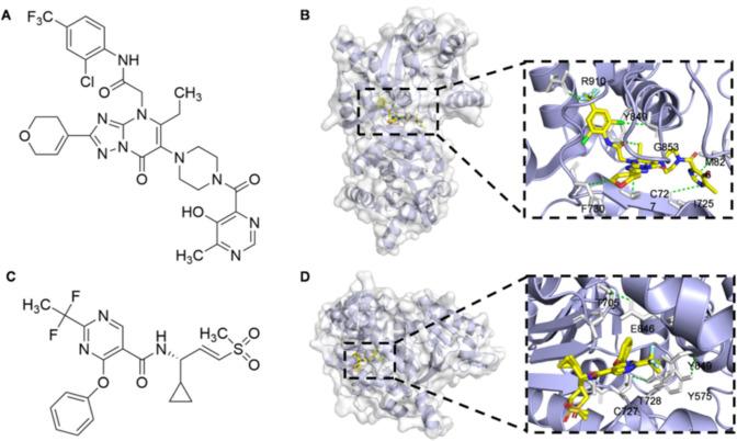 https://cdn.ncbi.nlm.nih.gov/pmc/blobs/79fd/12328481/7788b6a510e2/10238_2025_1781_Fig4_HTML.jpg