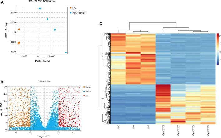 https://cdn.ncbi.nlm.nih.gov/pmc/blobs/7a02/9515614/18aea833233a/fmicb-13-979087-g003.jpg