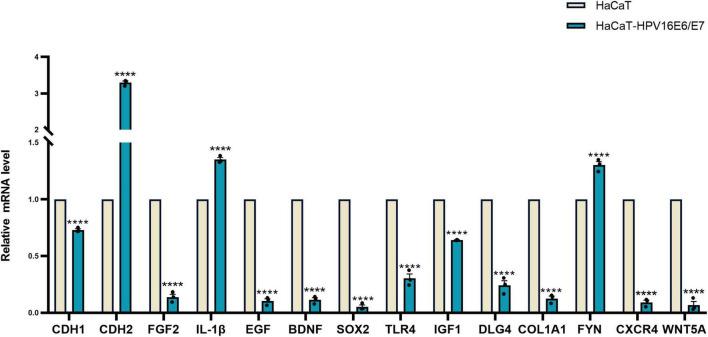 https://cdn.ncbi.nlm.nih.gov/pmc/blobs/7a02/9515614/f14f237117cd/fmicb-13-979087-g007.jpg