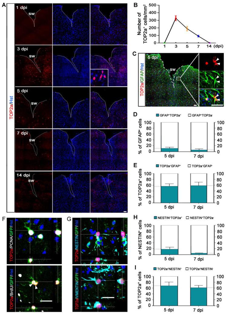 https://cdn.ncbi.nlm.nih.gov/pmc/blobs/7a03/12036888/3485d5c8318c/thnov15p5402g003.jpg