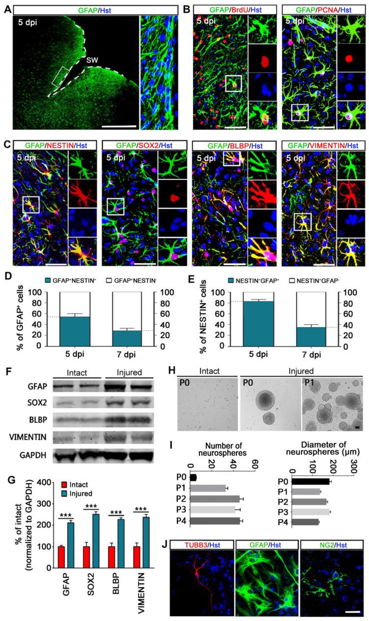 https://cdn.ncbi.nlm.nih.gov/pmc/blobs/7a03/12036888/50d26b0c6284/thnov15p5402g001.jpg