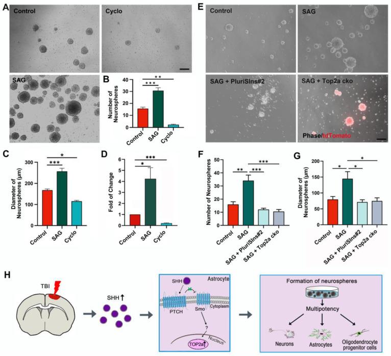https://cdn.ncbi.nlm.nih.gov/pmc/blobs/7a03/12036888/9b0d7baedd43/thnov15p5402g008.jpg