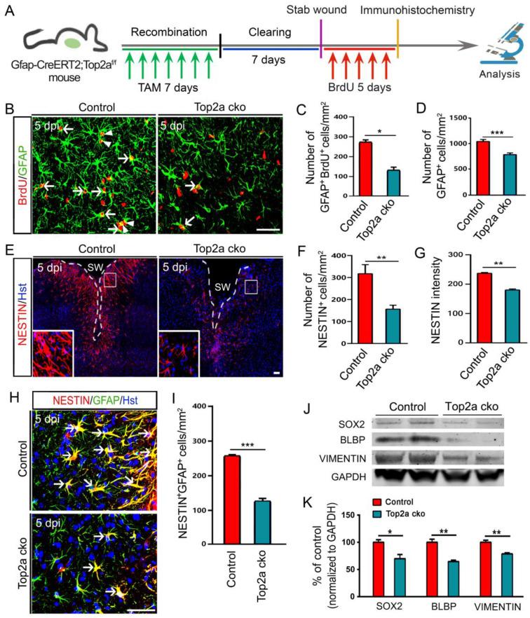 https://cdn.ncbi.nlm.nih.gov/pmc/blobs/7a03/12036888/da00fb2de9a2/thnov15p5402g007.jpg