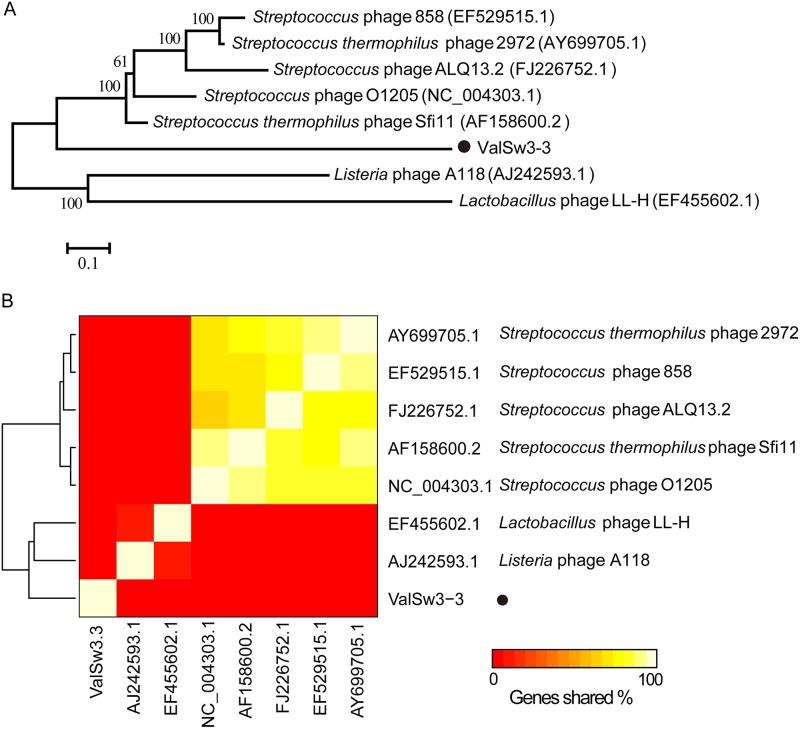 https://cdn.ncbi.nlm.nih.gov/pmc/blobs/7a05/7199398/73bc7d931d40/JVI.00066-20-f0005.jpg