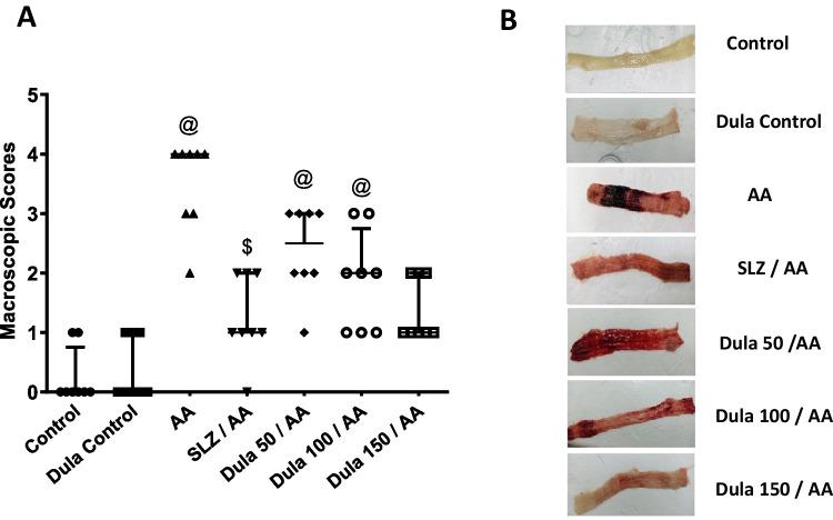 https://cdn.ncbi.nlm.nih.gov/pmc/blobs/7a08/11985593/91396c565771/210_2024_3631_Fig2_HTML.jpg