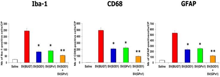https://cdn.ncbi.nlm.nih.gov/pmc/blobs/7a09/4665482/bd700dd429f9/antioxidants-03-00414-g005.jpg