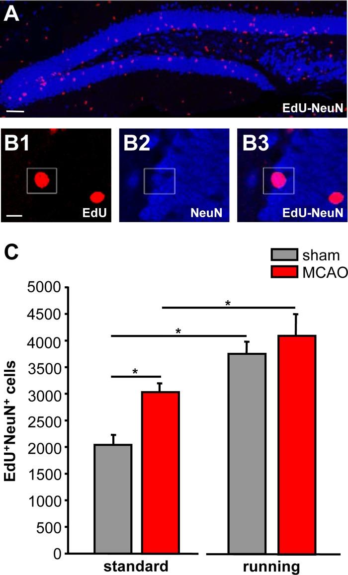 https://cdn.ncbi.nlm.nih.gov/pmc/blobs/7a0a/5598932/8af56497e7c8/pone.0183463.g001.jpg