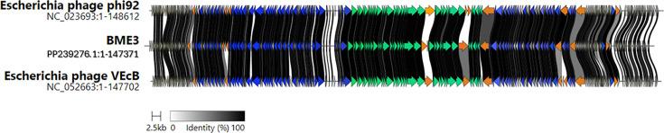 https://cdn.ncbi.nlm.nih.gov/pmc/blobs/7a0b/12210895/30956951cfeb/spectrum.01301-24.f006.jpg