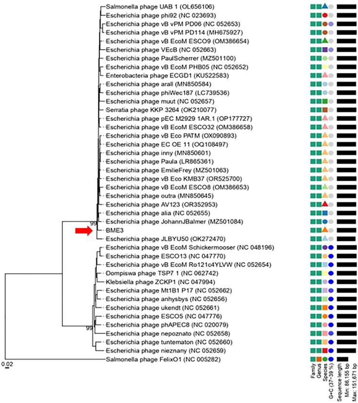 https://cdn.ncbi.nlm.nih.gov/pmc/blobs/7a0b/12210895/3119bb903339/spectrum.01301-24.f005.jpg
