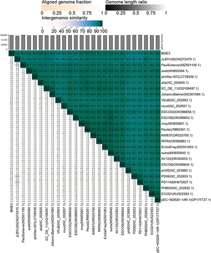 https://cdn.ncbi.nlm.nih.gov/pmc/blobs/7a0b/12210895/df7c50efbd28/spectrum.01301-24.f004.jpg