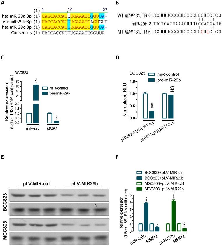 https://cdn.ncbi.nlm.nih.gov/pmc/blobs/7a0b/6216010/d6ca114758d6/jcav09p3776g001.jpg