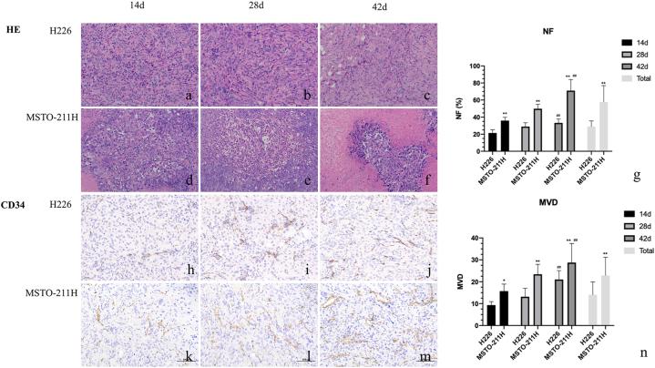 https://cdn.ncbi.nlm.nih.gov/pmc/blobs/7a0c/10130770/52d83199e15d/gr4.jpg