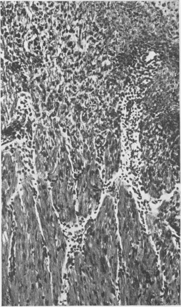 https://cdn.ncbi.nlm.nih.gov/pmc/blobs/7a0c/2041753/dece839b136b/jmedres00002-0072-a.jpg