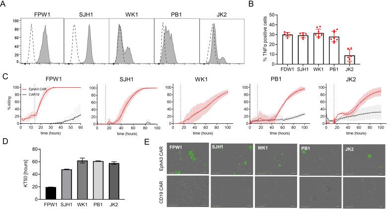 https://cdn.ncbi.nlm.nih.gov/pmc/blobs/7a0d/11308892/42edec76e718/jitc-12-8-g005.jpg
