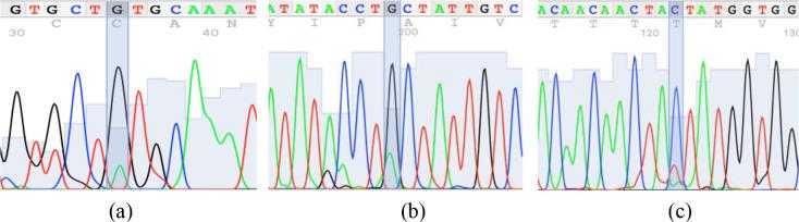 https://cdn.ncbi.nlm.nih.gov/pmc/blobs/7a0d/9399921/d23527cd9fe3/aab-65-293-g02.jpg