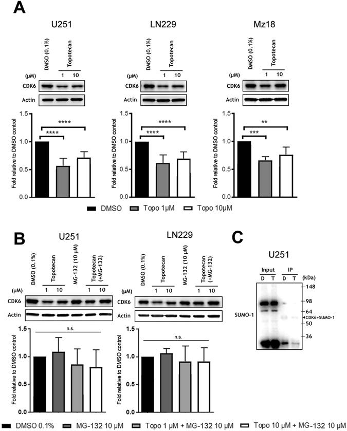 https://cdn.ncbi.nlm.nih.gov/pmc/blobs/7a0f/5547153/aceb7ca7eaad/41598_2017_7631_Fig4_HTML.jpg