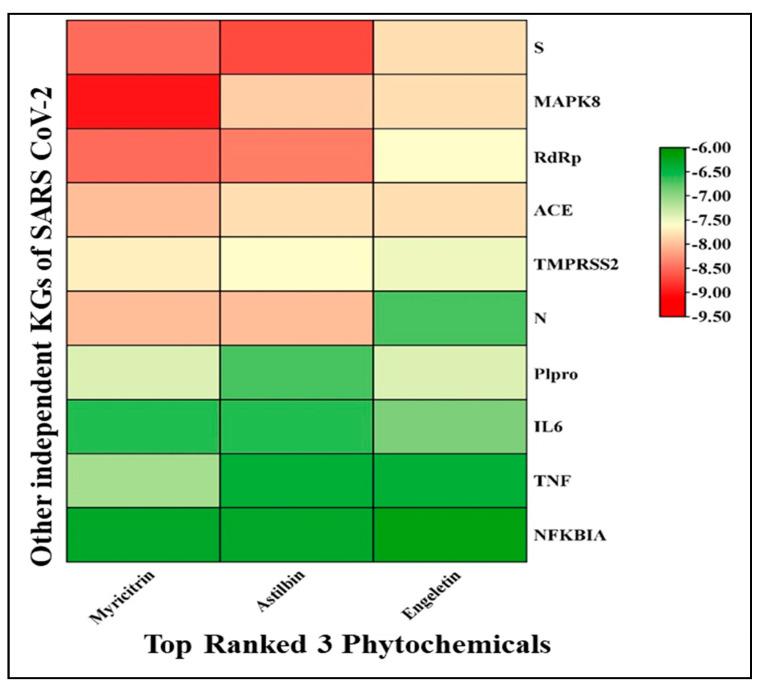 https://cdn.ncbi.nlm.nih.gov/pmc/blobs/7a10/11173994/25053f4762c8/molecules-29-02524-g004.jpg