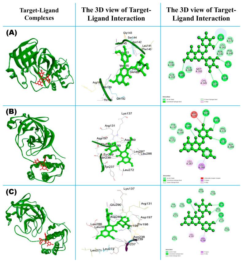 https://cdn.ncbi.nlm.nih.gov/pmc/blobs/7a10/11173994/d64488c87ed6/molecules-29-02524-g003.jpg