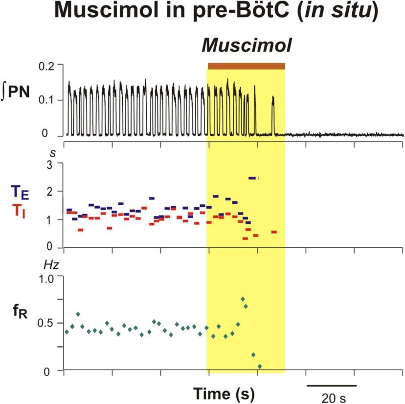 https://cdn.ncbi.nlm.nih.gov/pmc/blobs/7a11/4867025/1aa8b0b0aca5/enu0021620520012.jpg