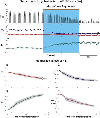 https://cdn.ncbi.nlm.nih.gov/pmc/blobs/7a11/4867025/7dab228d4693/enu0021620520004.jpg
