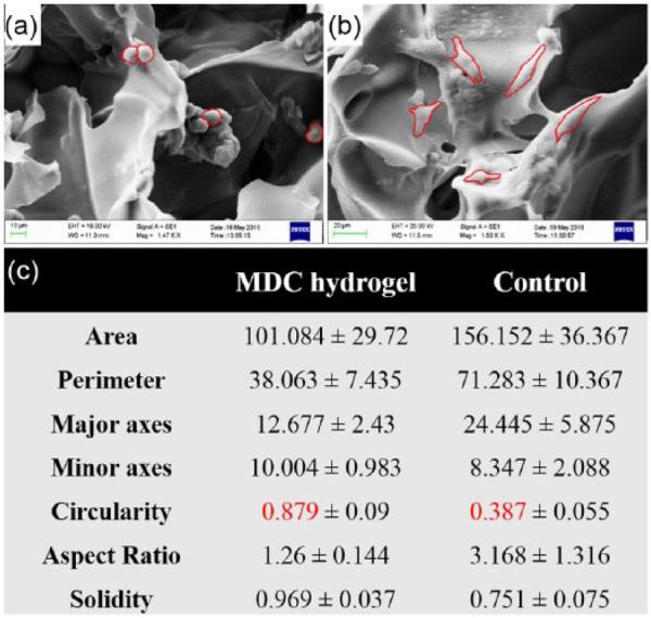 https://cdn.ncbi.nlm.nih.gov/pmc/blobs/7a13/8738854/4def6abac0f3/10.1177_2041731417718391-fig8.jpg