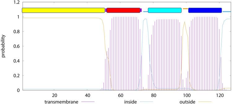 https://cdn.ncbi.nlm.nih.gov/pmc/blobs/7a17/11143224/75116e68ad7f/41598_2024_63407_Fig4_HTML.jpg
