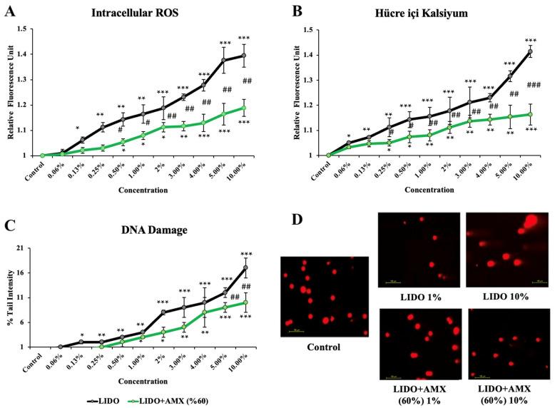 https://cdn.ncbi.nlm.nih.gov/pmc/blobs/7a18/12108911/63611a898557/biomedicines-13-01074-g002.jpg
