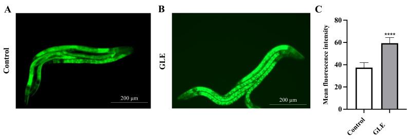 https://cdn.ncbi.nlm.nih.gov/pmc/blobs/7a1c/8271589/9b8d2c7ba17d/molecules-26-03958-g005.jpg