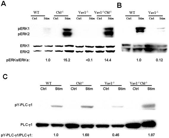 https://cdn.ncbi.nlm.nih.gov/pmc/blobs/7a1d/3072394/46789d6b553c/pone.0018542.g003.jpg