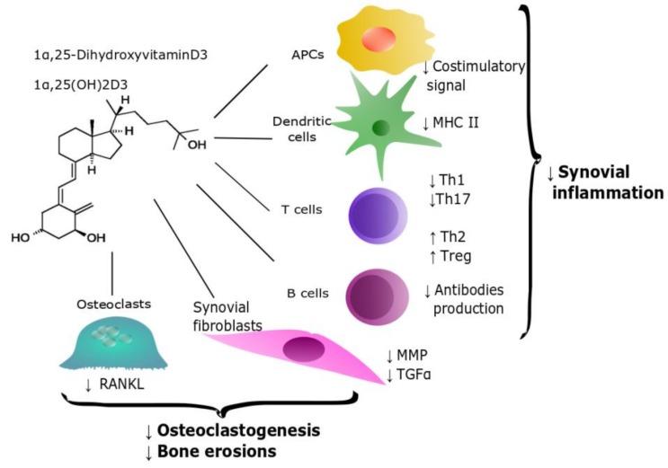 https://cdn.ncbi.nlm.nih.gov/pmc/blobs/7a1e/7146294/f0f10f437a8b/nutrients-12-00789-g001.jpg