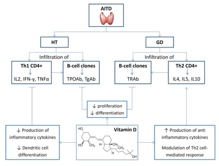 https://cdn.ncbi.nlm.nih.gov/pmc/blobs/7a1e/7146294/fe221c377c05/nutrients-12-00789-g002.jpg