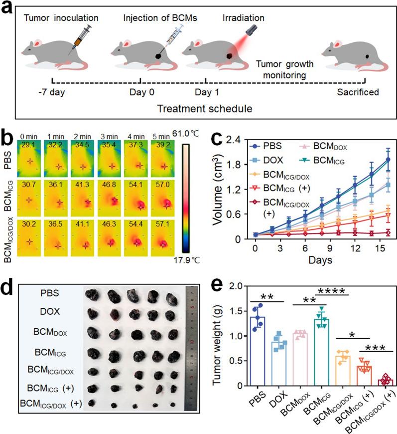 https://cdn.ncbi.nlm.nih.gov/pmc/blobs/7a20/11337894/a0a689332e01/12951_2024_2778_Fig5_HTML.jpg