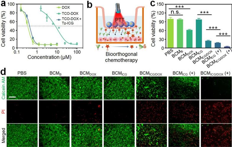 https://cdn.ncbi.nlm.nih.gov/pmc/blobs/7a20/11337894/b85d13a63f90/12951_2024_2778_Fig4_HTML.jpg